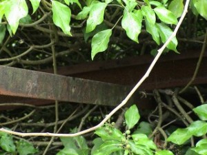 Images/014.jpg