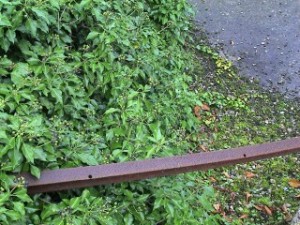 Images/016.jpg