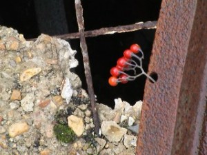 Images/025.jpg