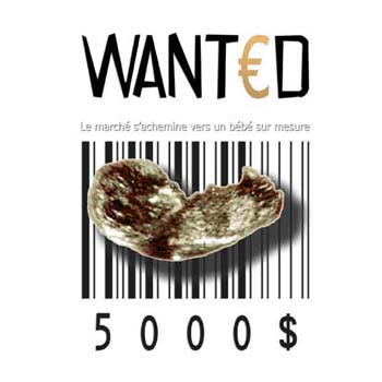 wanted